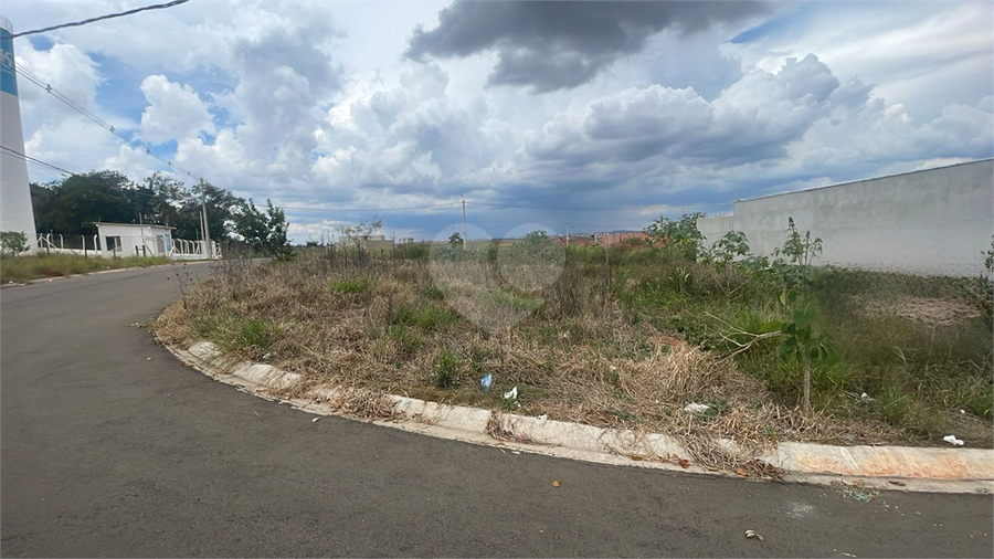 Foto REO1106813