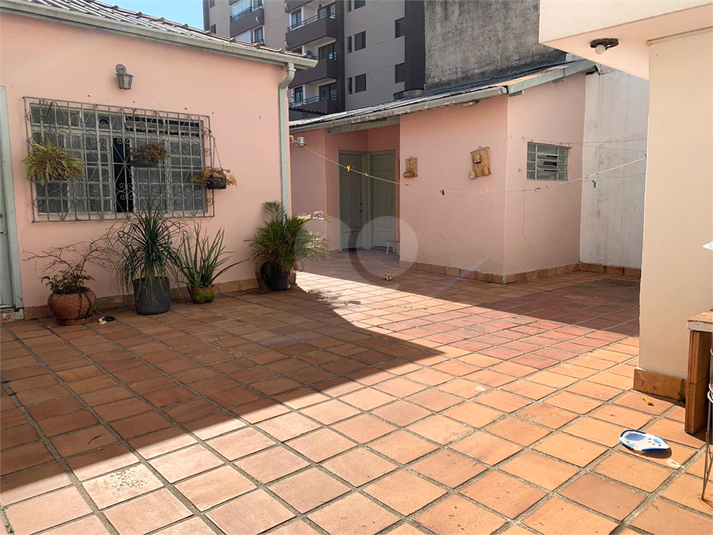Foto REO1106827