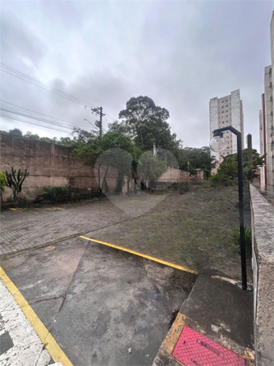 Foto REO1106834