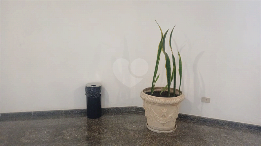 Foto REO1106835