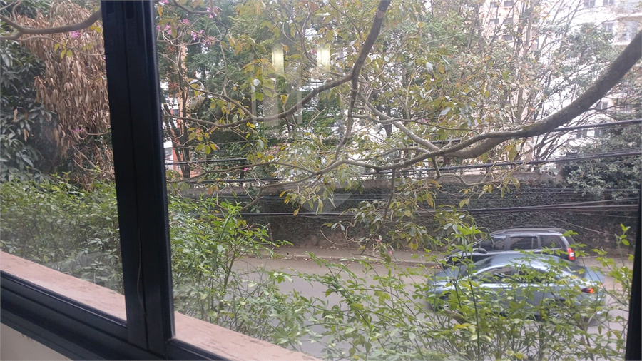 Foto REO1106835