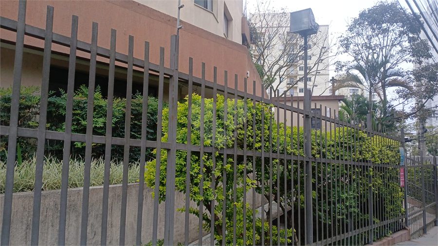 Foto REO1106835