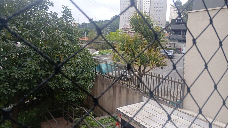 Foto REO1106835