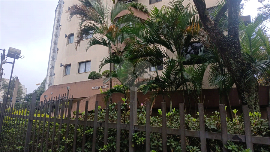 Foto REO1106835