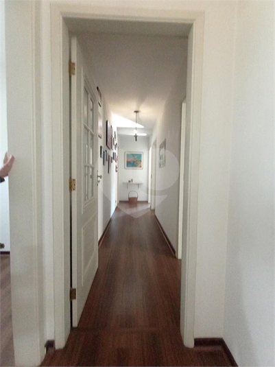 Foto REO1106848