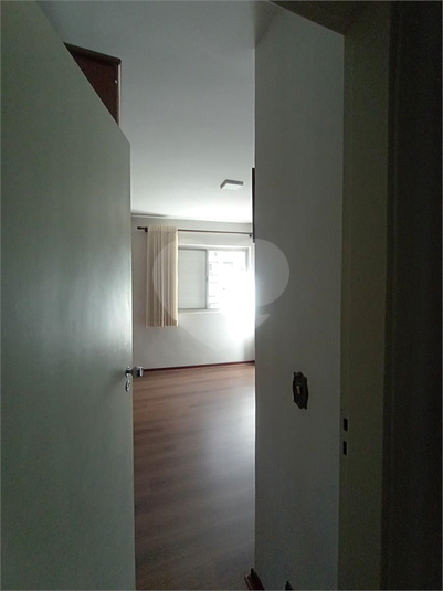 Foto REO1106848
