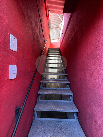 Foto REO1106858