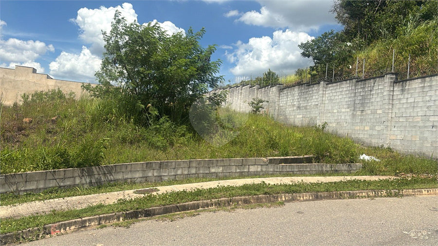 Foto REO1106866