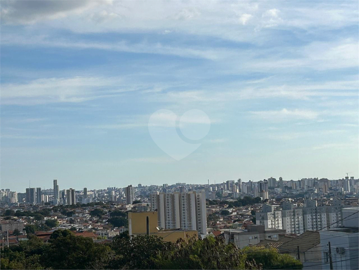 Foto REO1106869