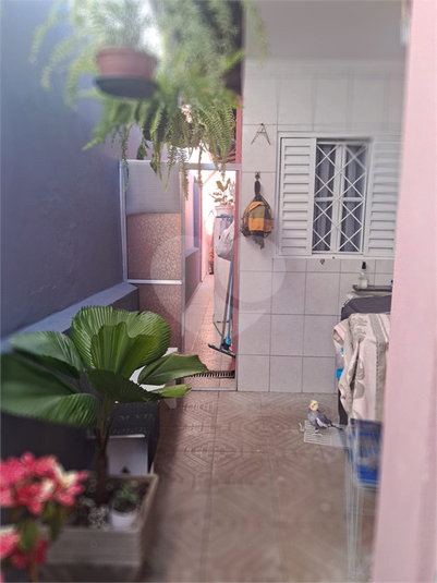 Foto REO1106872