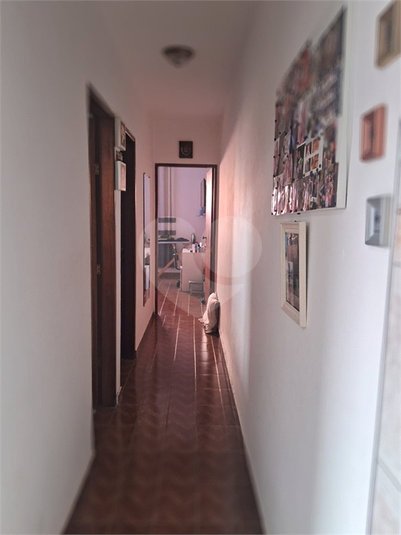 Foto REO1106872