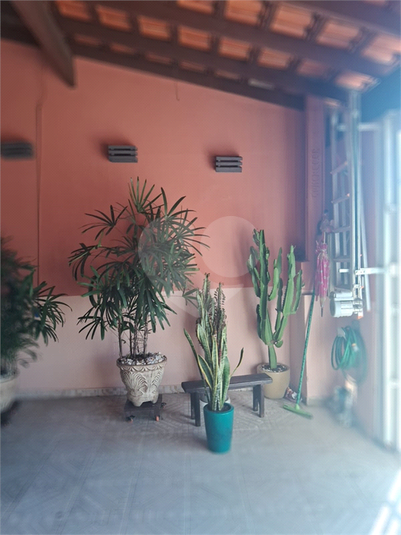 Foto REO1106872
