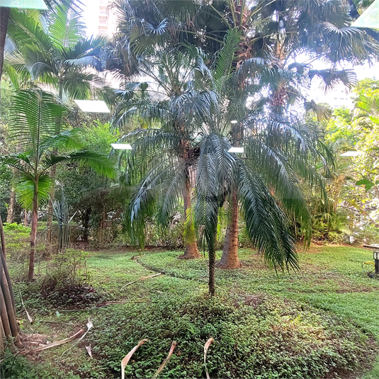 Foto REO1106878