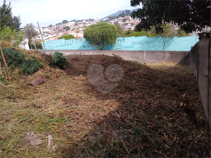 Foto REO1106880