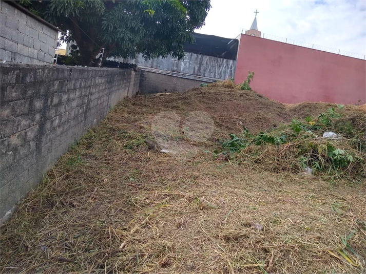 Foto REO1106880