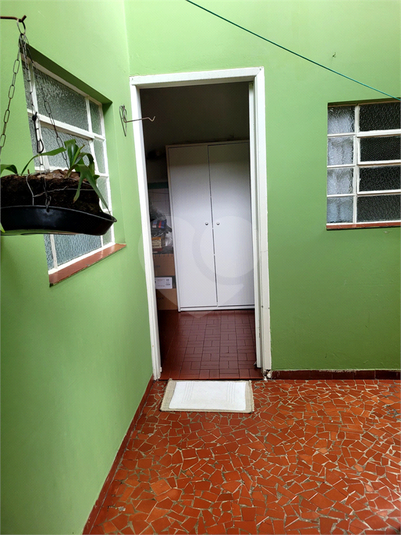 Foto REO1106884