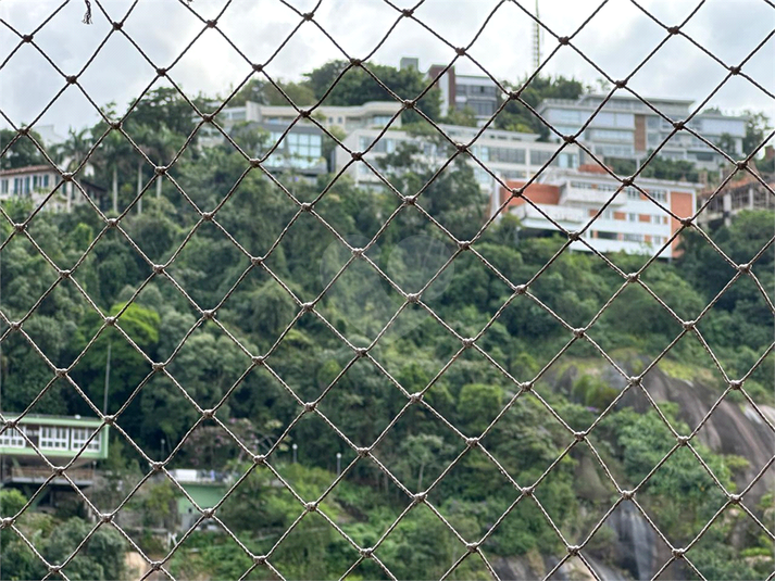 Foto REO1106886