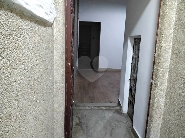 Foto REO1106894