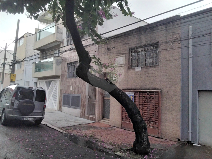 Foto REO1106894