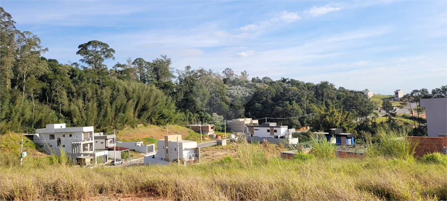 Foto REO1106896