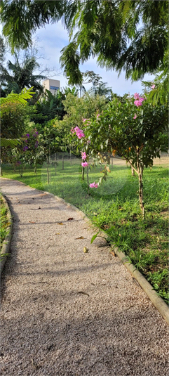 Foto REO1106896