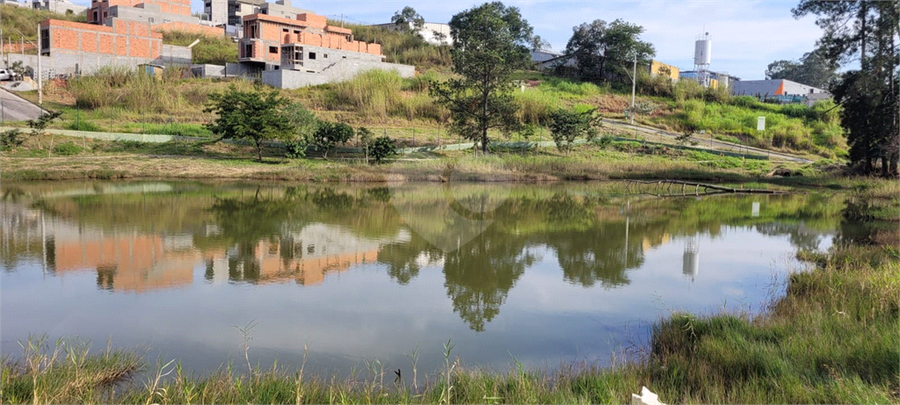 Foto REO1106896