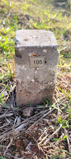 Foto REO1106896