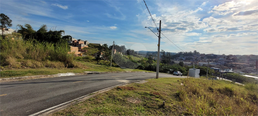 Foto REO1106896