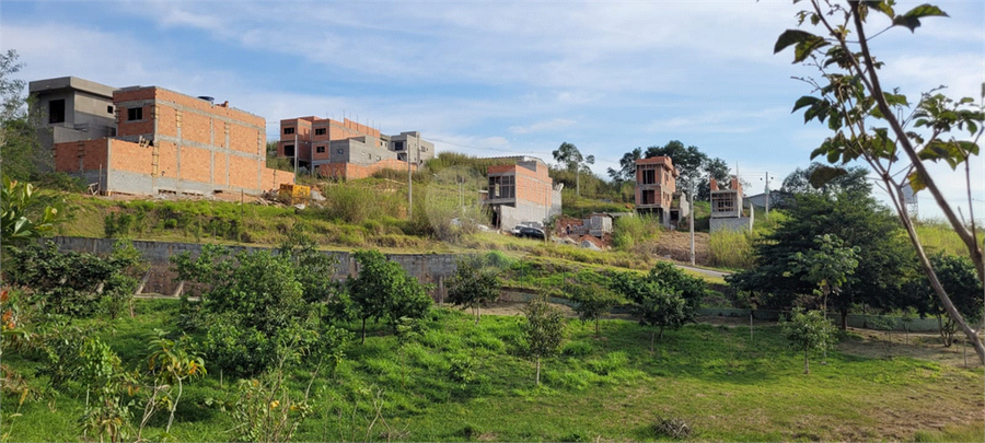 Foto REO1106896