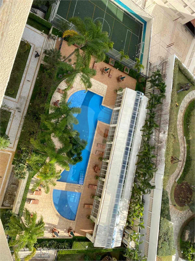 Foto REO1106908