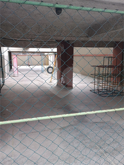 Foto REO1106911