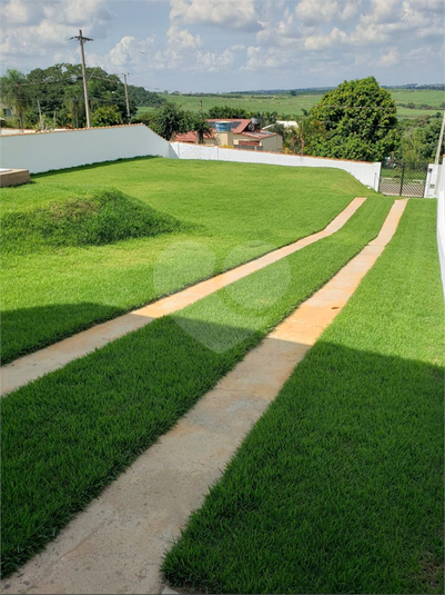 Foto REO1106931