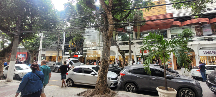 Foto REO1106932
