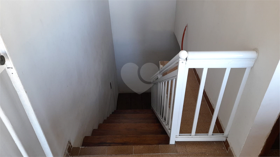 Foto REO1106941