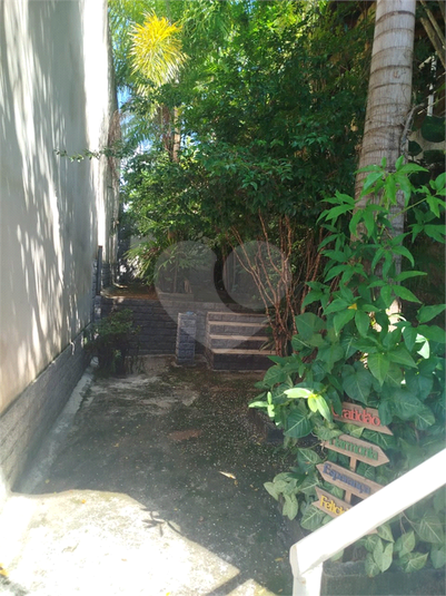 Foto REO1106957