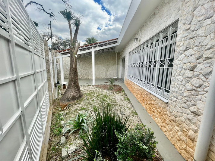 Foto REO1106958