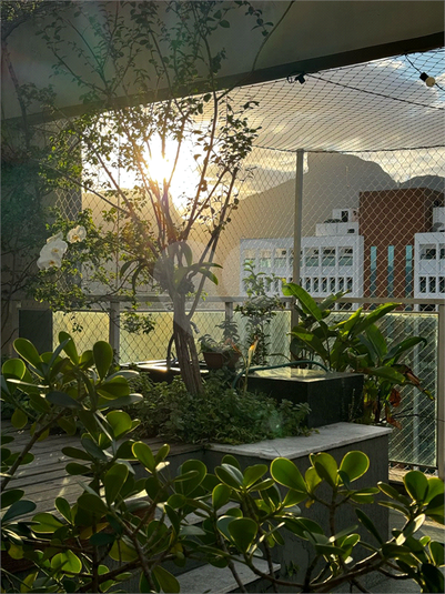 Foto REO1106964