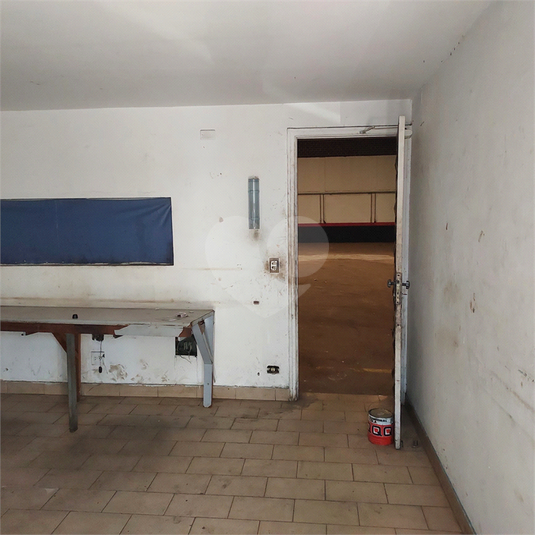 Foto REO1106966