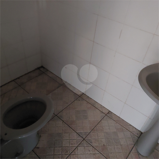 Foto REO1106966