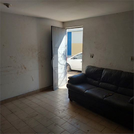 Foto REO1106966