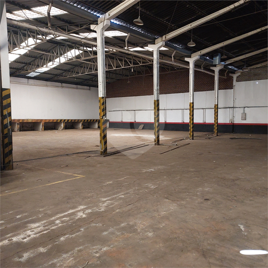 Foto REO1106966