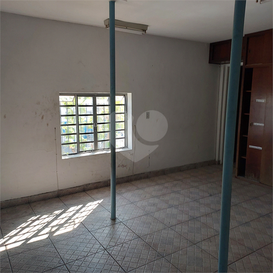 Foto REO1106966