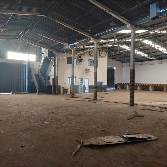 Foto REO1106966