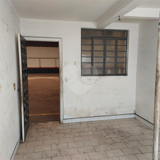 Foto REO1106966