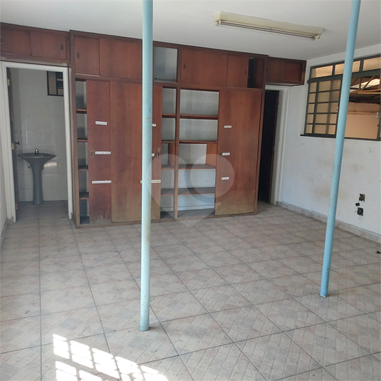 Foto REO1106966