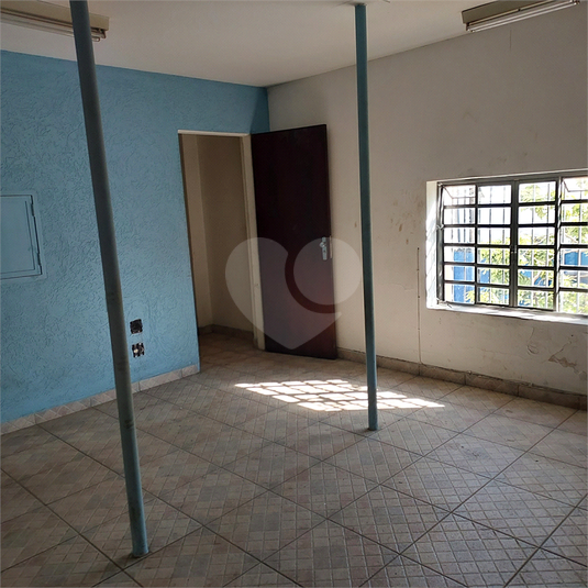 Foto REO1106966