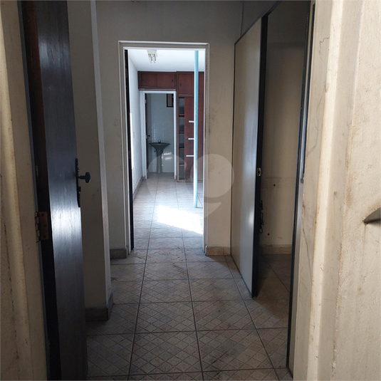 Foto REO1106966