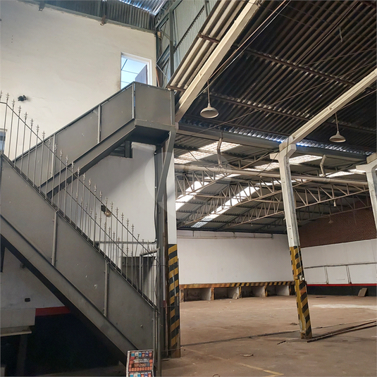 Foto REO1106966