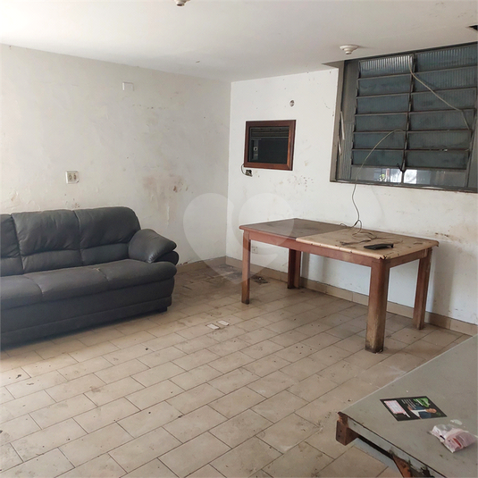 Foto REO1106966