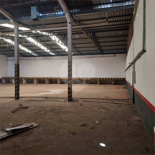 Foto REO1106966